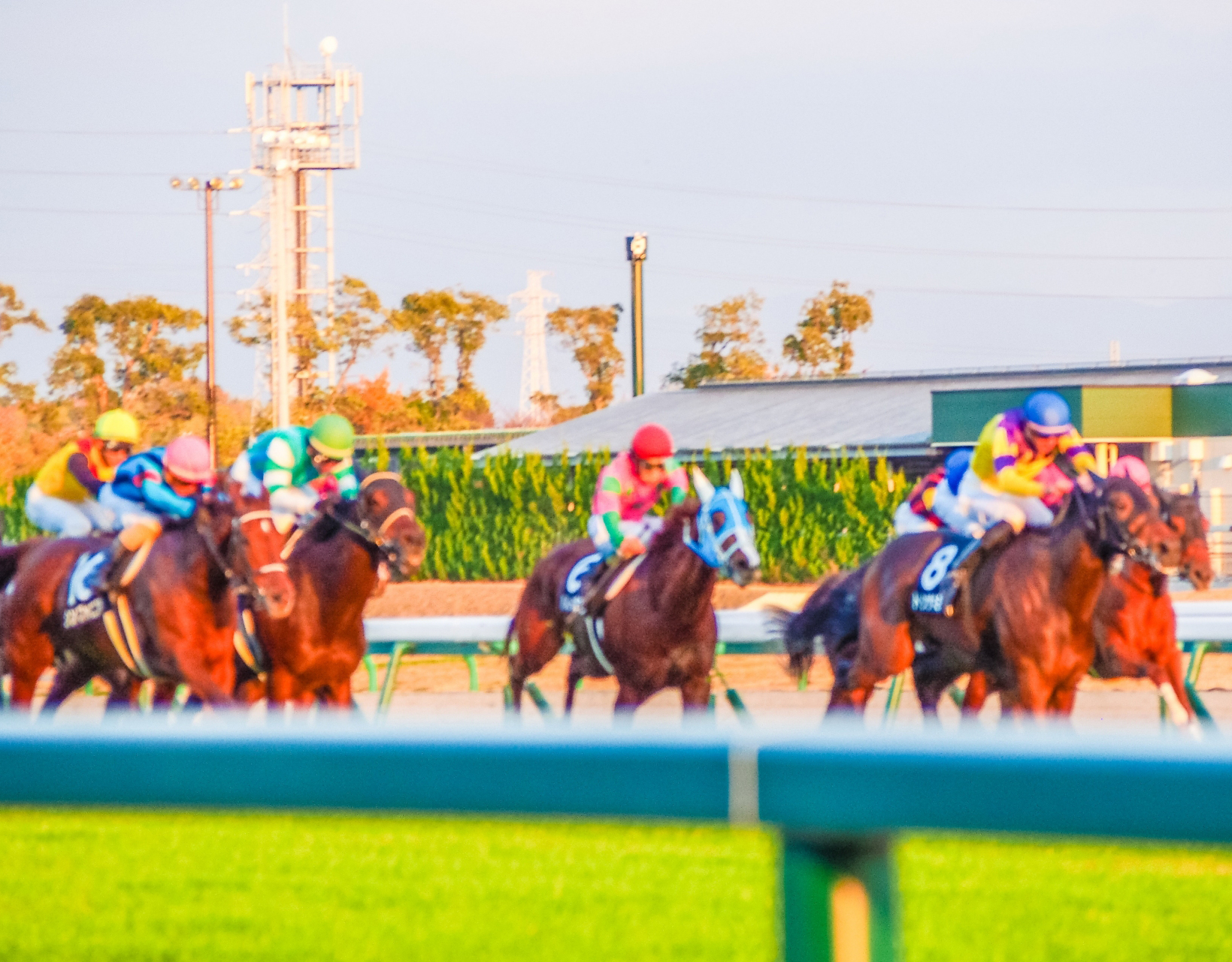 【競馬VSカジノ】王道ギャンブルを徹底比較してみた